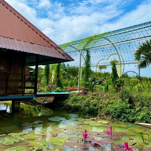 Phú Điền Du Lịch Sinh Thái Gần Gũi Với Thiên Nhiên