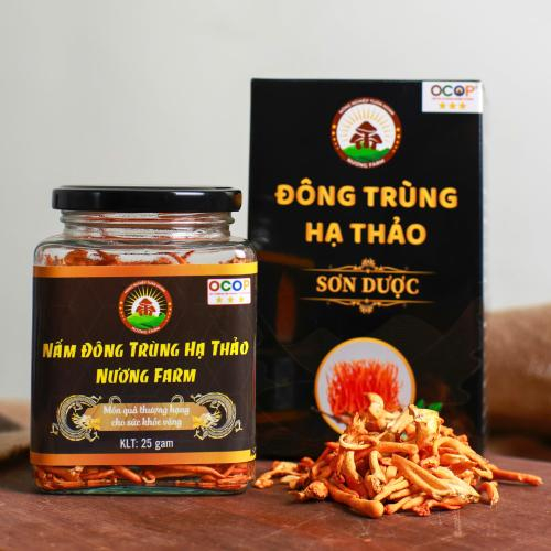 Nấm Đông Trùng Hạ Thảo Sấy Thăng Hoa 25gr - Đặc Sản Bảy Núi An Giang