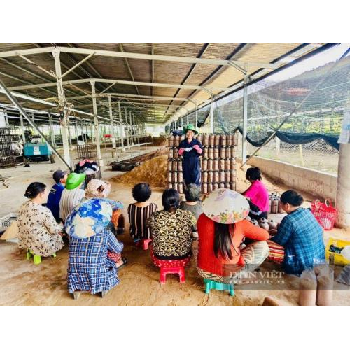 Chị Châu Thị Nương: Lọt Danh Sách "Nông Dân Việt Nam Xuất Sắc 2025"