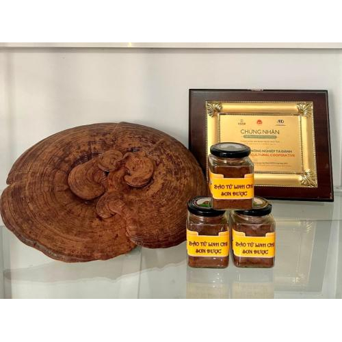 Nông Nghiệp Tuần Hoàn Từ Dược Liệu Tự Nhiên