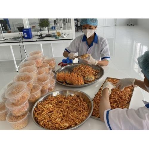 3. Mua Nấm Đông Trùng Hạ Thảo Sấy Thăng Hoa Uy Tín Ở Đâu?