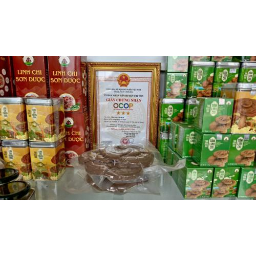 Mở Hướng Mới Phát Triển Nông Nghiệp Xanh Ở Lòng Bảy Núi