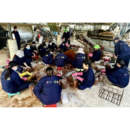 Mở Hướng Mới Phát Triển Nông Nghiệp Xanh Ở Lòng Bảy Núi