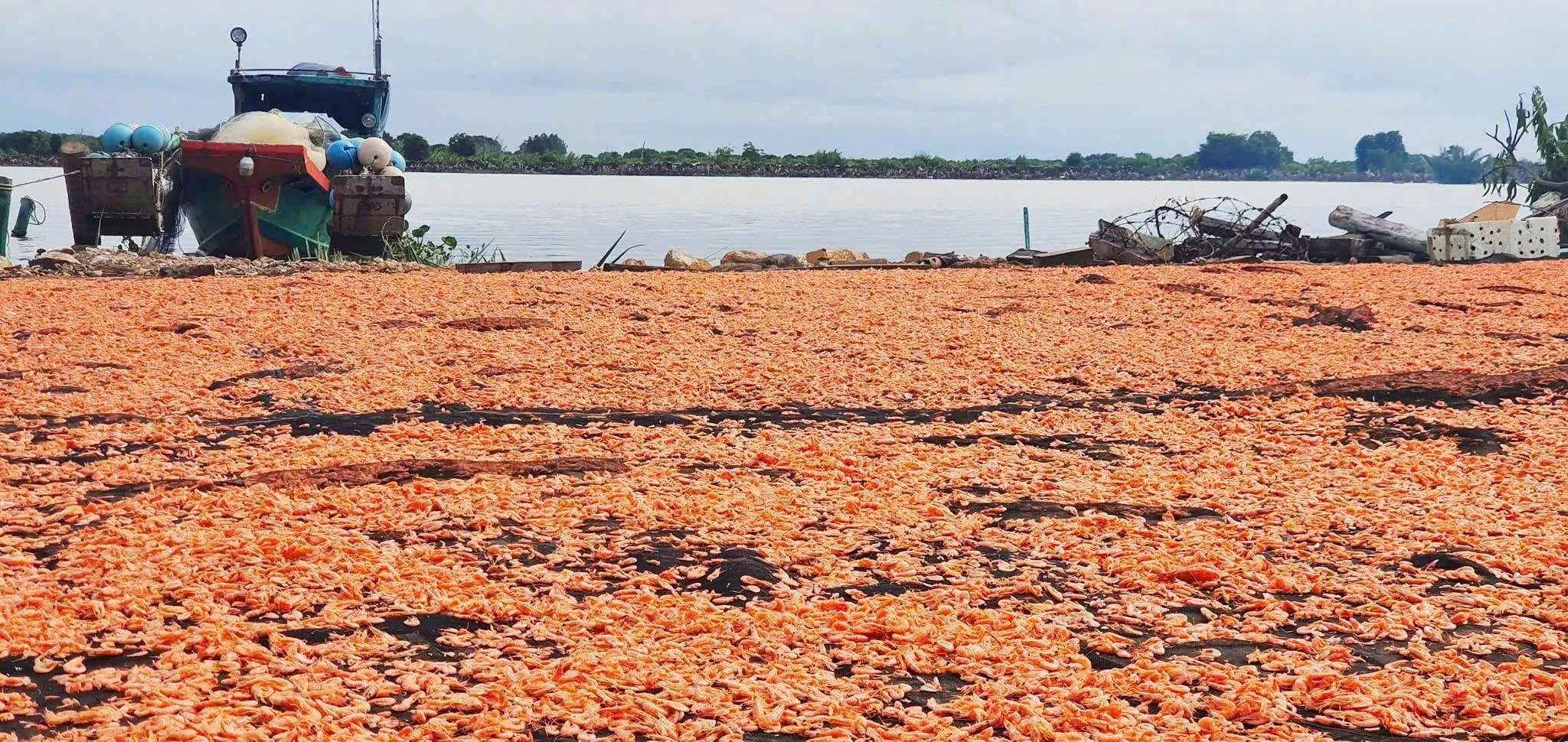 Quy trình sản xuất tôm khô ở Hà Tiên