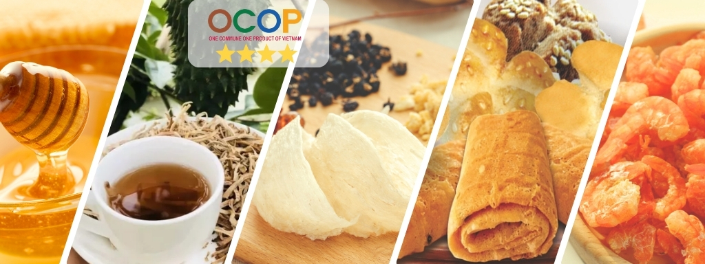 5. Nguồn vốn và cơ cấu vốn huy động thực hiện Đề án