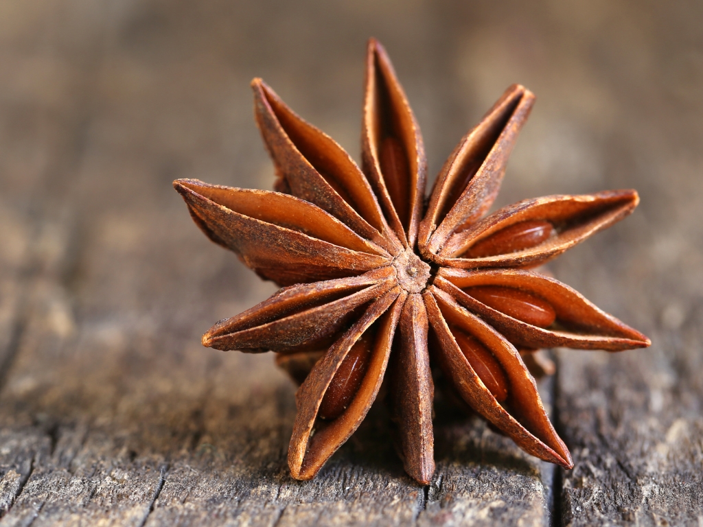 Cây hồi - Hoa hồi là gì?