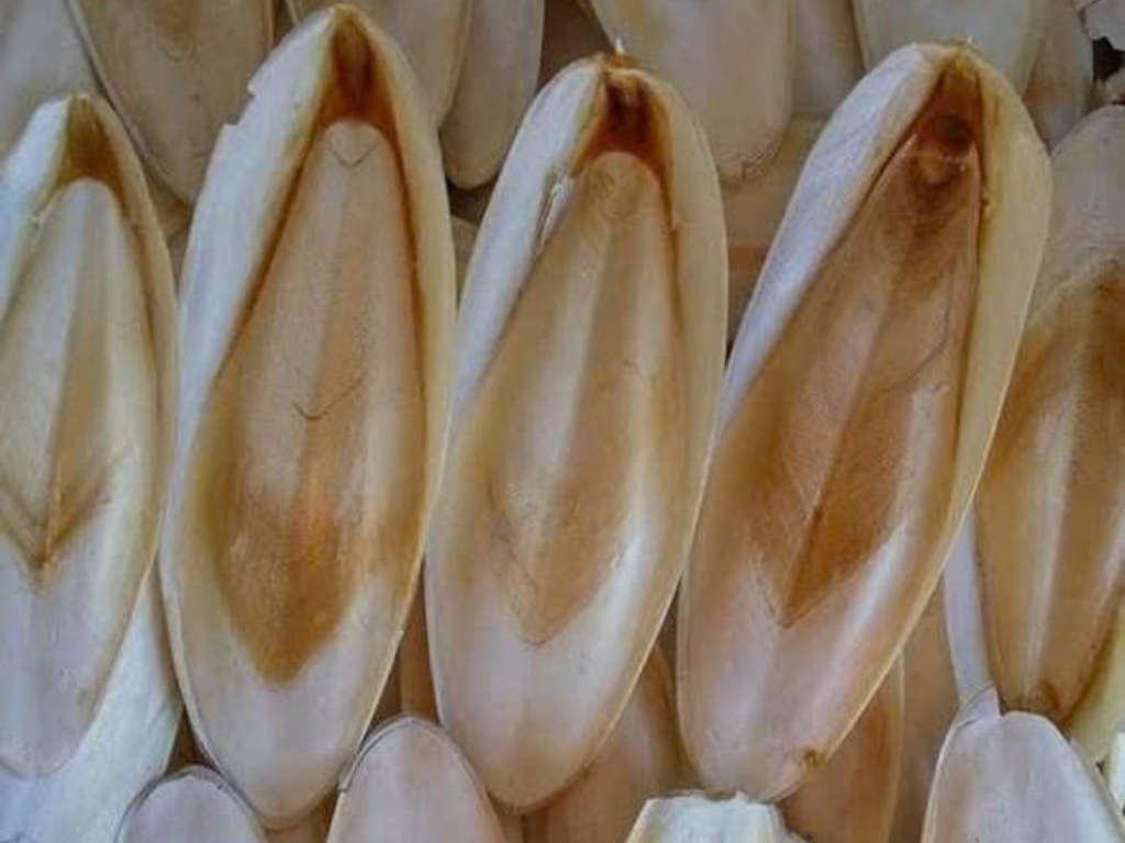 Thông tin chi tiết hàng hóa: