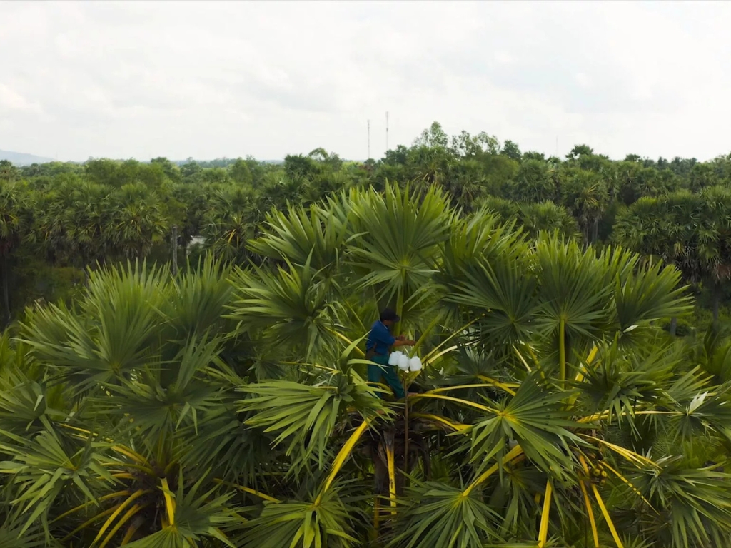 Why We Are Ethical, Sustainable, and Transparent