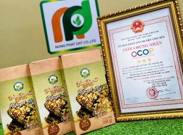 Vision – Mission – Core Values