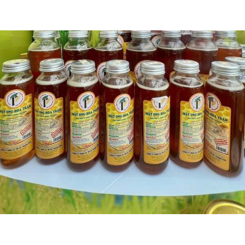 THANH PHU Melaleuca Blossom Honey – Pure Forest Honey from U Minh Thuong