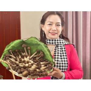 Tà Đảnh Agricultural Cooperative