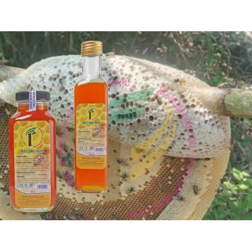 THANH PHU Dwarf Bee Honey – Pure Forest Honey from U Minh Thuong