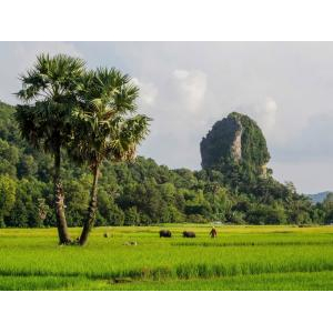 Mạc Thiên Tích – Người Đặt Nền Văn Hiến Hà Tiên