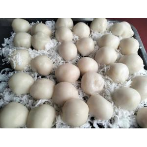 Bánh Bao Chỉ Hà Tiên – Món Quà Nhỏ Mang Hương Vị Lớn