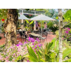 Lời chúc Năm mới từ NHO Coffee Hà Tiên