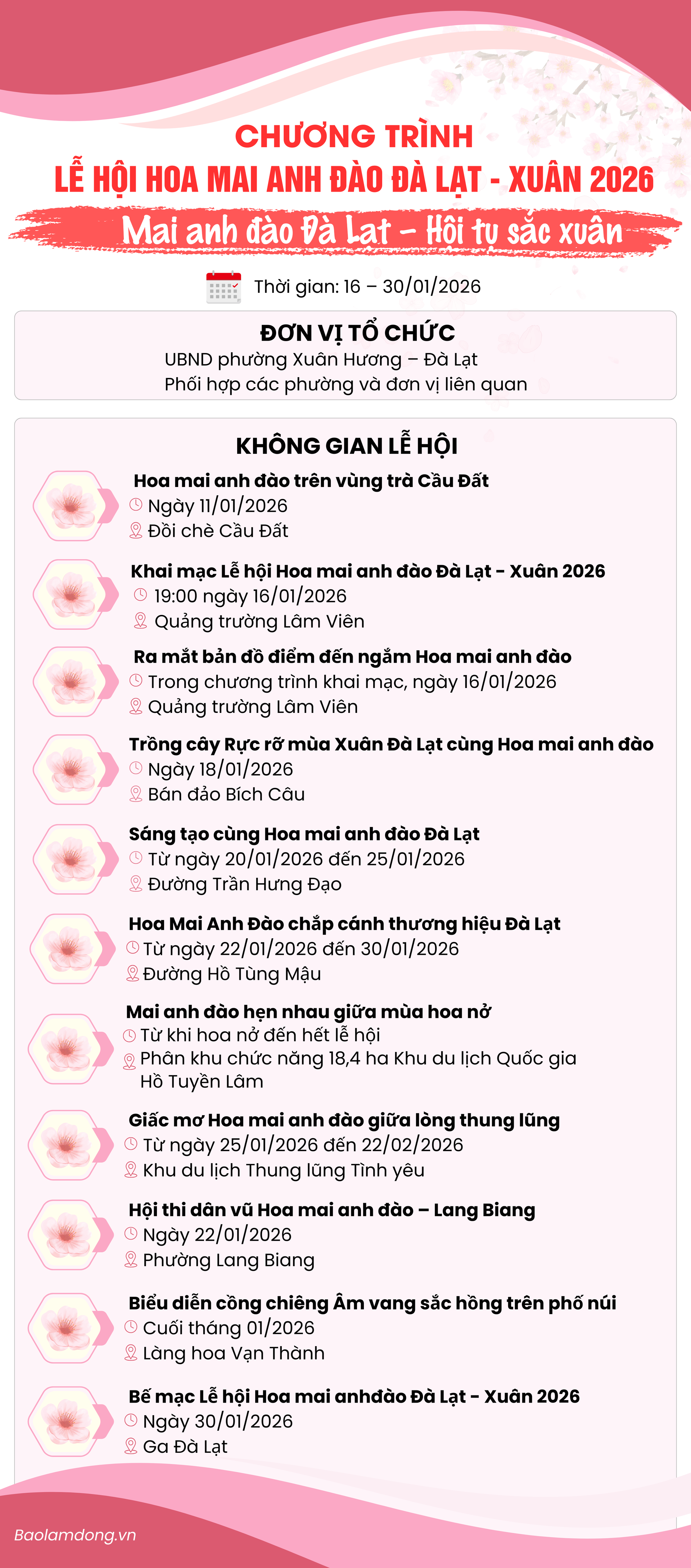 Chương trình Lễ hội: