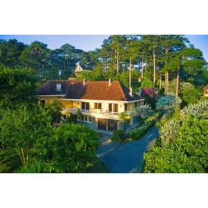 Hòa Mình Vào Thiên Nhiên