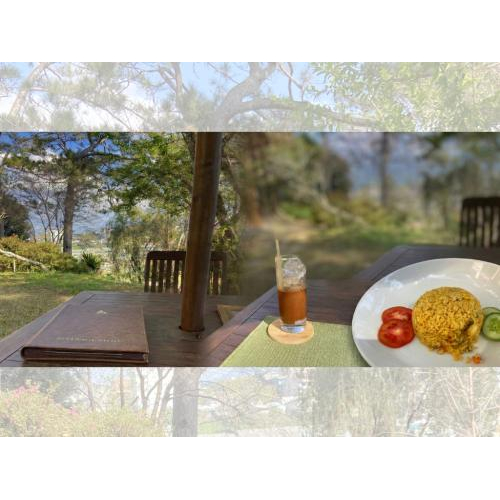 Anna Mandara Dalat Trong Tôi: Một Chút Tiếc Nuối Giữa Không Gian Quá Đẹp