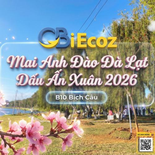Truy Xuất Mai Anh Đào Đà Lạt B10: Hành Trình Xanh Của GBi Ecoz