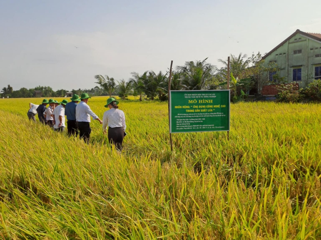 I. Giới thiệu chung