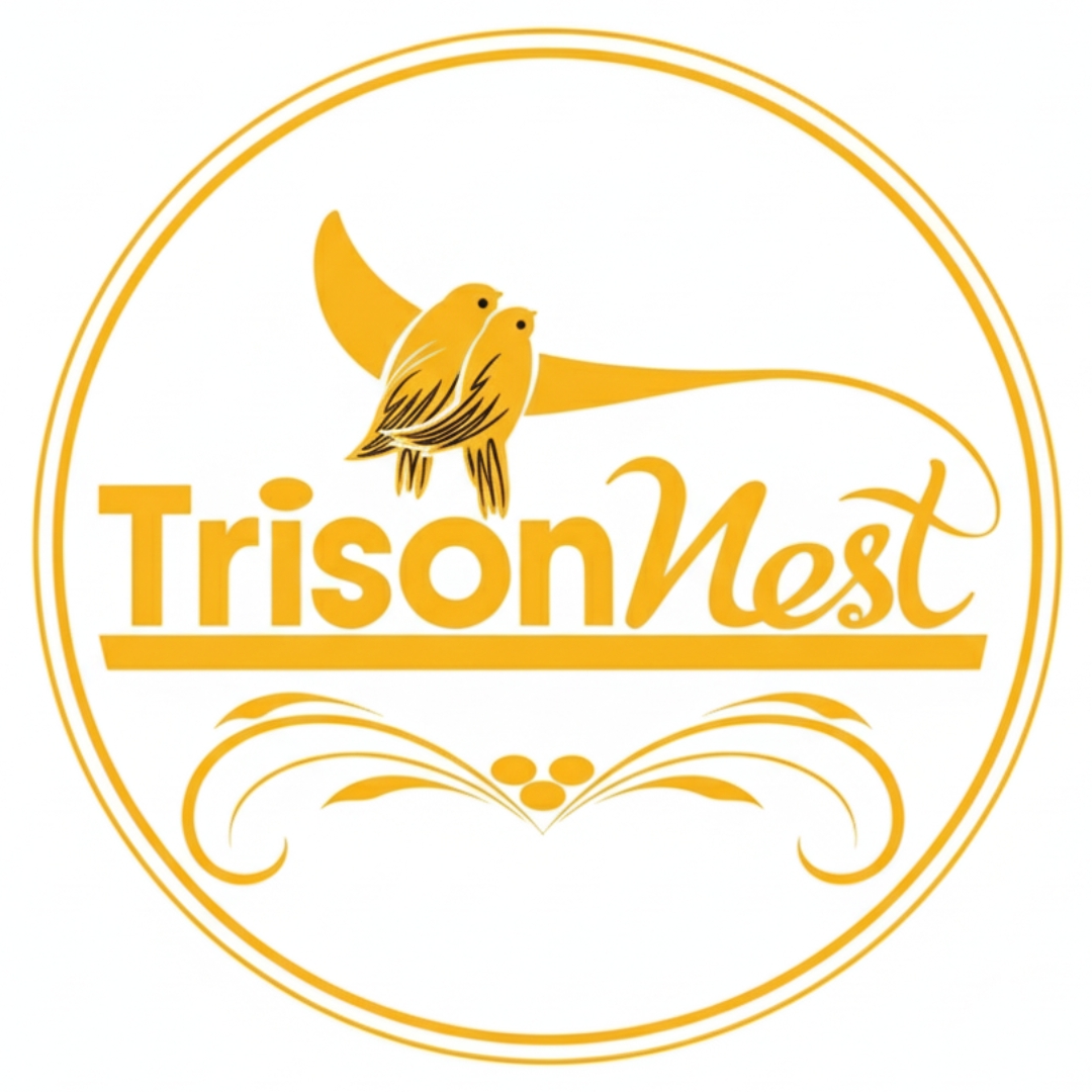 Công Ty TNHH Thương Mại Dịch Vụ Trí Sơn