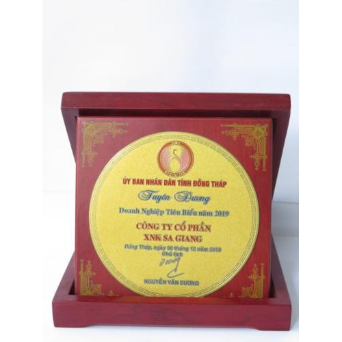 VI. Danh hiệu & giải thưởng tiêu biểu