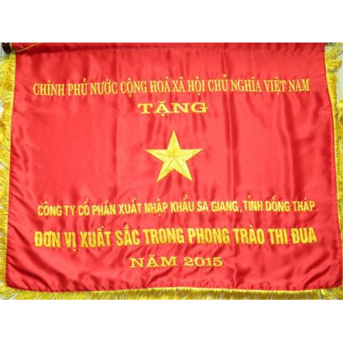 VI. Danh hiệu & giải thưởng tiêu biểu