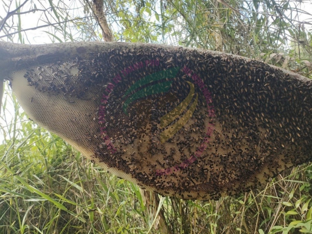 Tận hưởng Tinh túy Rừng U Minh