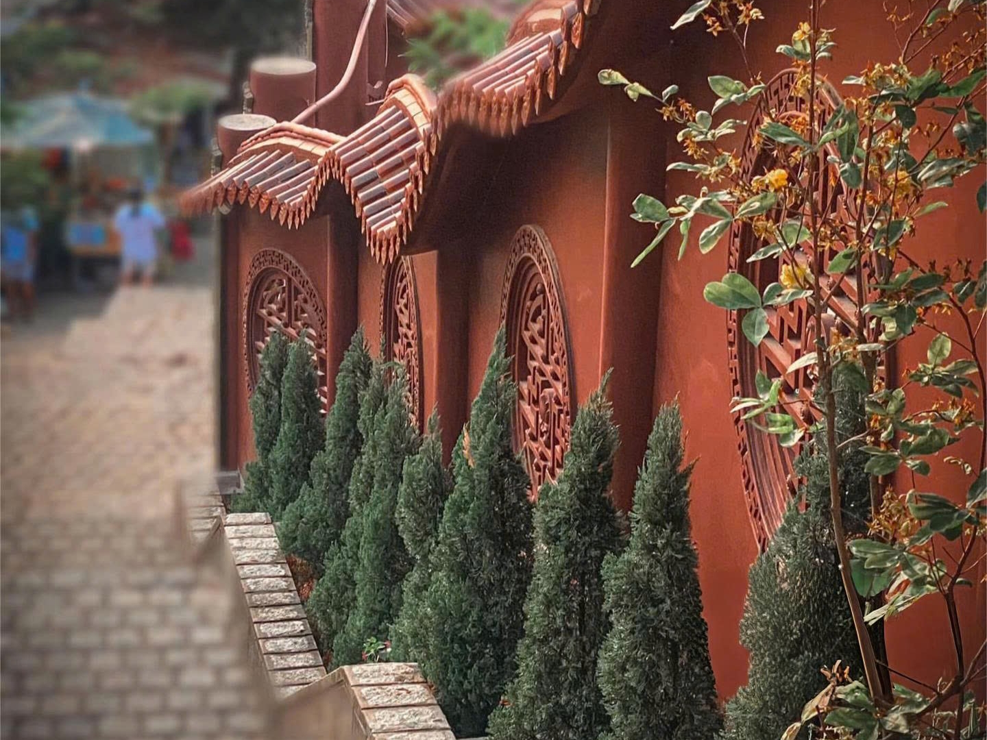 Phong cảnh nên thơ giữa lưng chừng núi