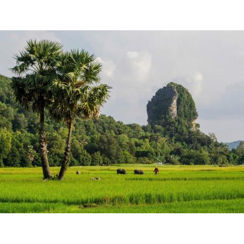 Mạc Thiên Tích: Người Mở Cõi Và Tiên Phong Văn Hiến Hà Tiên