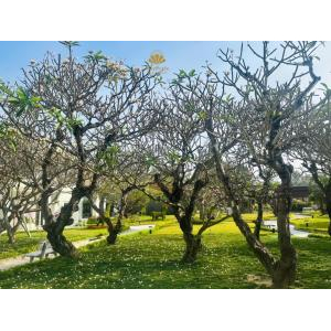 MerPerle Núi Sam Resort