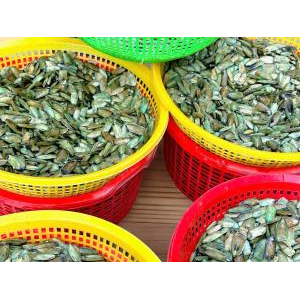 Hộ Kinh Doanh Ngô Tường Duy