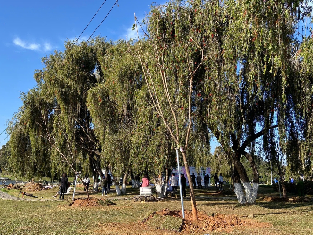 II. “Cây Di Sản” – Cam kết chất lượng, trách nhiệm dài hạn