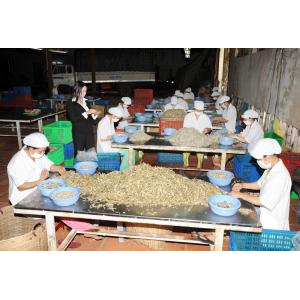 Công Ty Cổ Phần Xuất Nhập Khẩu Kiên Giang (Kigimex)