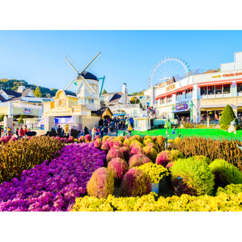 Tour Hàn Quốc 4 ngày 4 đêm