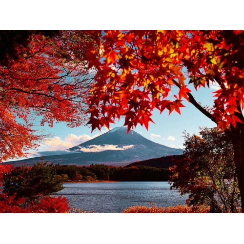 Nhật Bản 6 ngày 5 đêm vào tháng 10