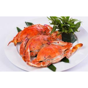 Công Ty TNHH Kim Hoa