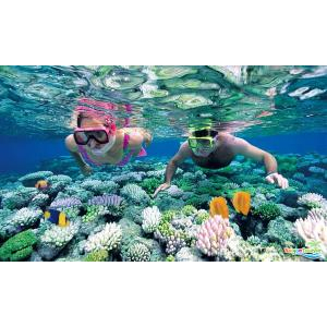 Công Ty TNHH Kim Hoa