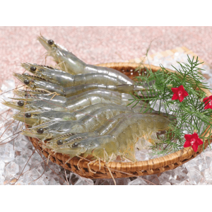 Công Ty Cổ Phần Thủy Sản Tâm Phương Nam