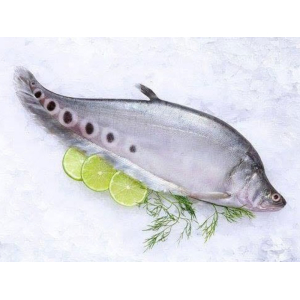 Công Ty Cổ Phần Thủy Sản Tâm Phương Nam