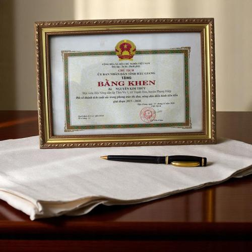 Bằng Khen Được Ủy Ban Nhân Dân Tỉnh Hậu Giang Khen Tặng