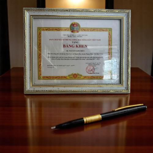 Bằng Khen Do Trung Ương Khen Thưởng