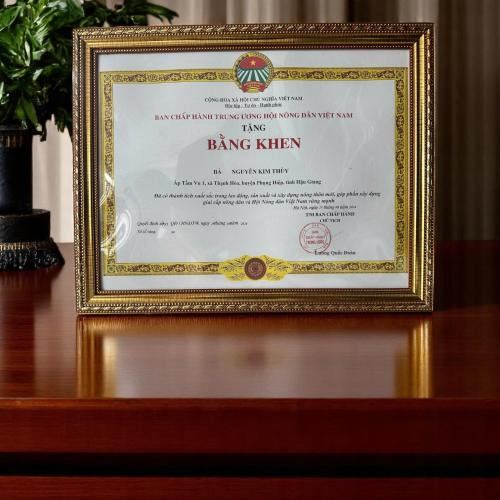 Bằng Khen - Giấy Khen - Giấy Biểu Dương Của HTX Kỳ Như