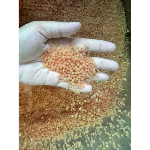 Mắt xích quan trọng trong chuỗi thủy sản khép kín