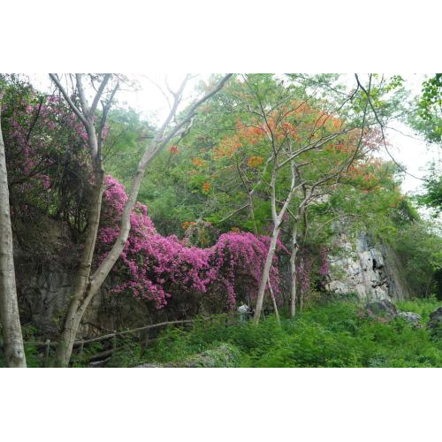 Hà Tiên sẵn sàng chào đón du khách dịp lễ 30/4-1/5