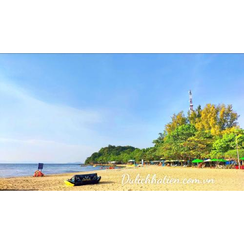 Giáng Sinh Trên Biển Xanh - Check-in Cây Thông Mũi Nai