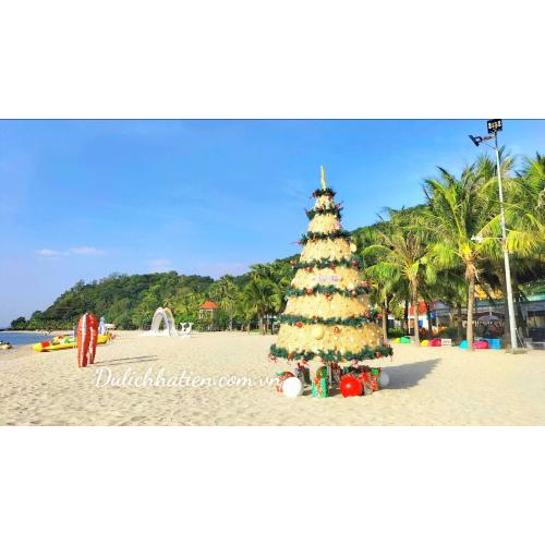 Giáng Sinh Trên Biển Xanh - Check-in Cây Thông Mũi Nai