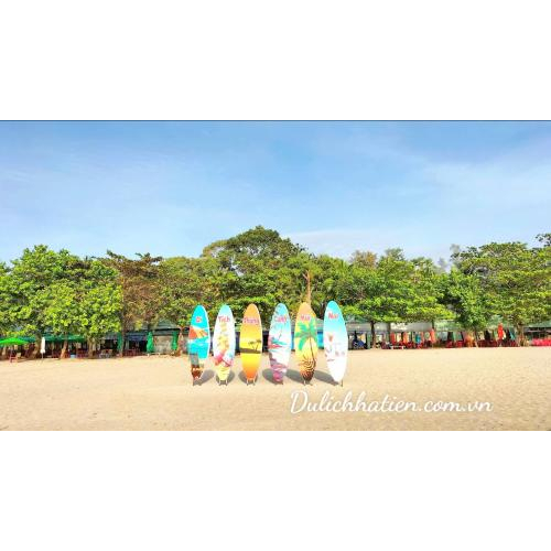 Giáng Sinh Trên Biển Xanh - Check-in Cây Thông Mũi Nai