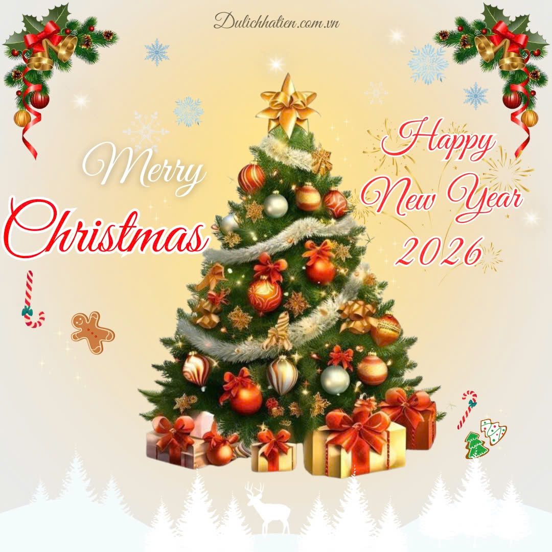 Giáng Sinh Về - Chào Đón Năm Mới 2026