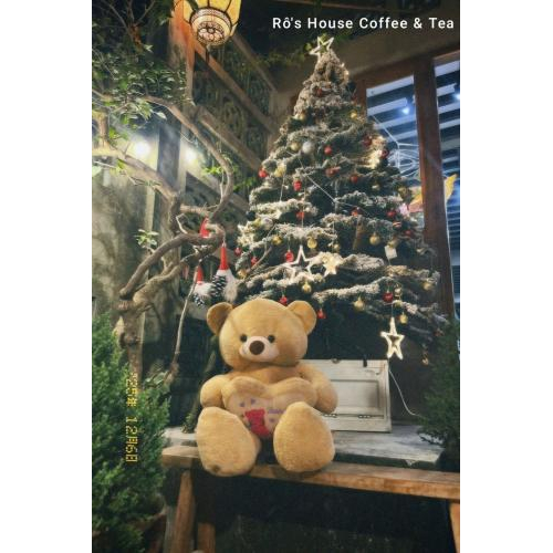 Giáng Sinh Gõ Cửa - Hà Tiên Rực Rỡ Sắc Màu Noel